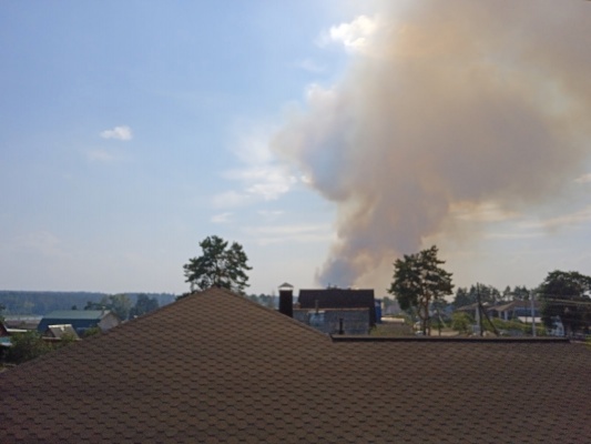 Заповедник - 1.jpg